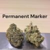 Permanent Marker28g OZ ON SALE INDICA  🔥🔥25%THC
