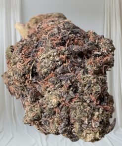 JACK FROST 3.5grams SATIVA 32%THC 🔥🔥🔥