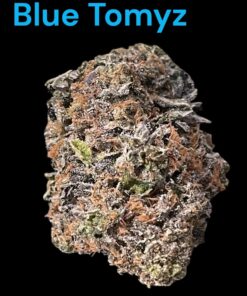 BLUE TOMYZ 🏆 28grams OZ SATIVA 36%THC Backpack BOyS 🎒🎒🔥🔥