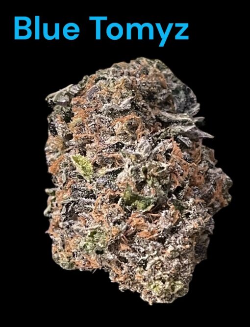 BLUE TOMYZ 🏆 28grams OZ SATIVA 36%THC Backpack BOyS 🎒🎒🔥🔥
