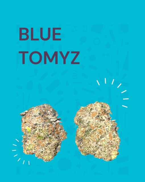 BLUE TOMYZ 🏆 28grams OZ SATIVA 36%THC Backpack BOyS 🎒🎒🔥🔥