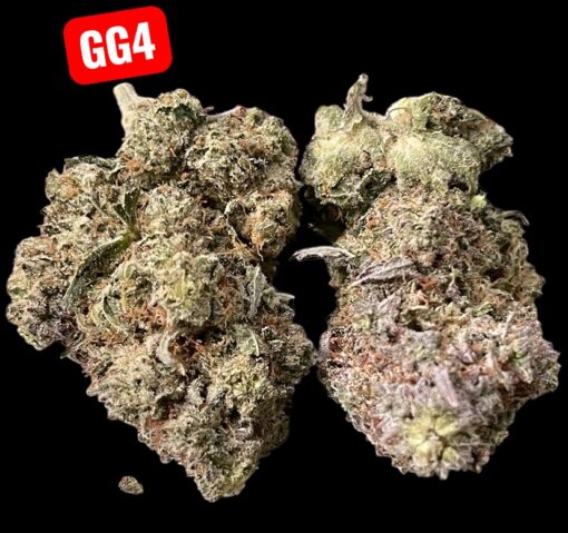 GORILLA GLUE#4🦍3.5grams HYBRID 30%THC 🔥🔥 LABOR DAY SALE 🔥🔥🏝️
