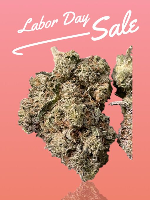 GORILLA GLUE#4🦍3.5grams HYBRID 30%THC 🔥🔥 LABOR DAY SALE 🔥🔥🏝️