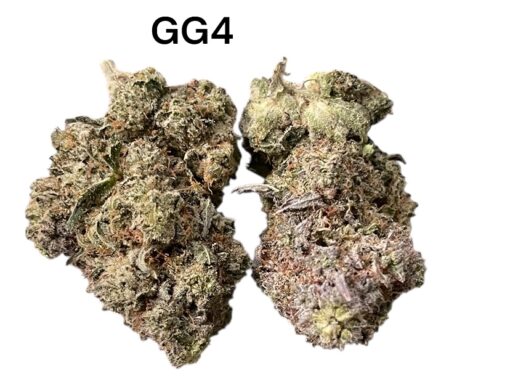 GORILLA GLUE#4🦍3.5grams HYBRID 30%THC 🔥🔥 LABOR DAY SALE 🔥🔥🏝️