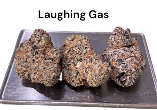 LAUGHING GAS 3.5g HYBRID 🔥🔥 32%THC LABOR DAY SALE 🔥