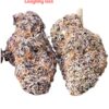 VENOM  RUNTZ 3.5G EXOTIC 36%THC 🔥🔥SMALL BATCH 🏆 INDICA