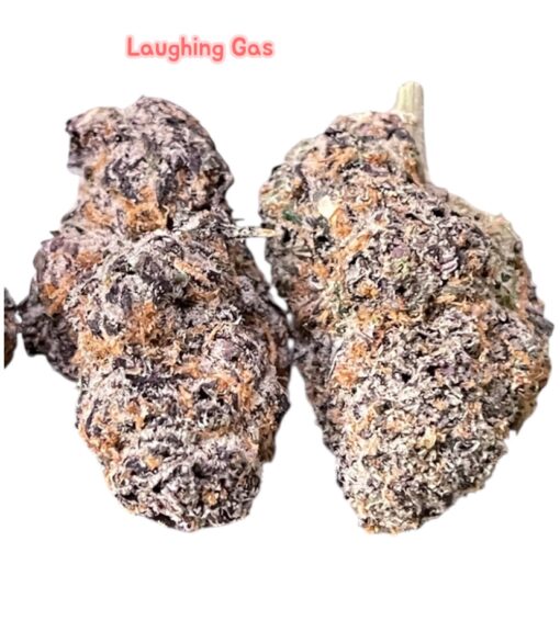 LAUGHING GAS 3.5g HYBRID 🔥🔥 32%THC LABOR DAY SALE 🔥