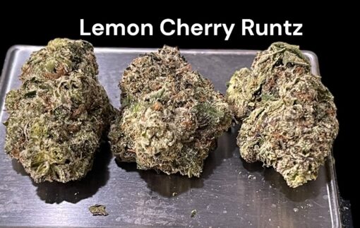 LEMON CHERRY RUNTZ 3.5g HYBRiD 31%THC 🔥🔥 LABOR DAY SALE 🔥🔥