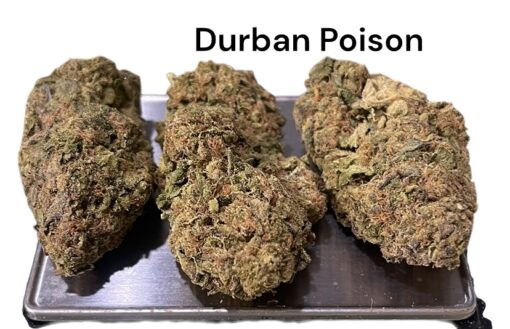 DURBAN POISON 7GRAMS QUARTER  SATIVA 27%THC  🏝️🔥LABOR DAY SALE 🏝️🔥