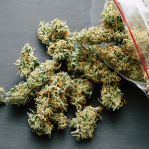 fieldston weed delivery