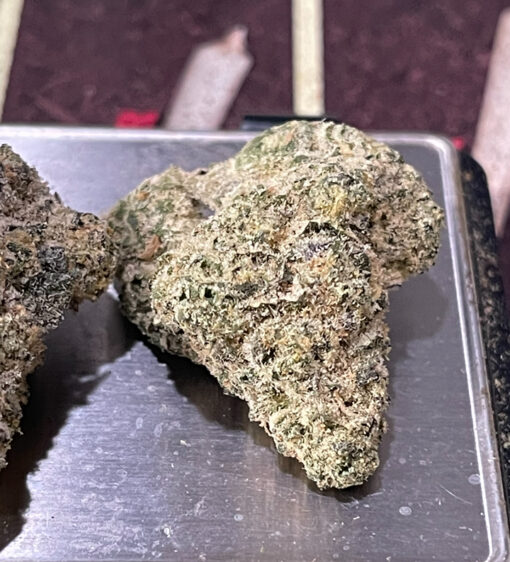 GEMINI 28grams OZ EXOTICS 🏆🔥INDICA 36%THC (Alien Labs) 🏆