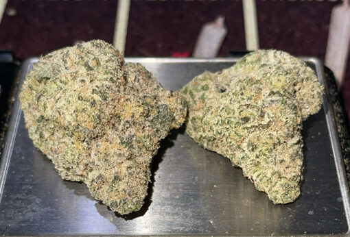GEMINI 28grams OZ EXOTICS 🏆🔥INDICA 36%THC (Alien Labs) 🏆