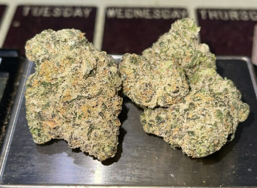GEMINI 28grams OZ EXOTICS 🏆🔥INDICA 36%THC (Alien Labs) 🏆