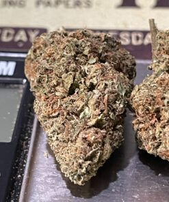 ATOMIC 7grams QUARTER HYBRID 26%THC SALE 🎊🎊 by Bomb Seeds