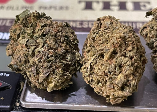 CHOCOLOPE 7GRAMS QUARTER SATIVA 26%THC 🔥🔥SALE 🎊🎊