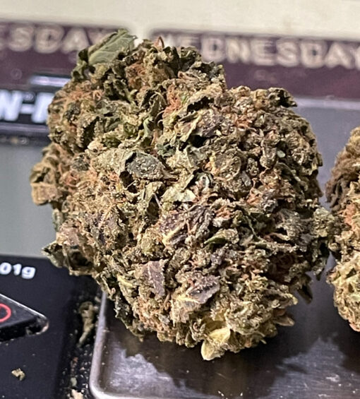 CHOCOLOPE 7GRAMS QUARTER SATIVA 26%THC 🔥🔥SALE 🎊🎊