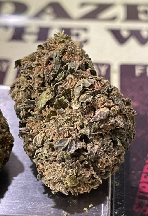 CHOCOLOPE 7GRAMS QUARTER SATIVA 26%THC 🔥🔥SALE 🎊🎊