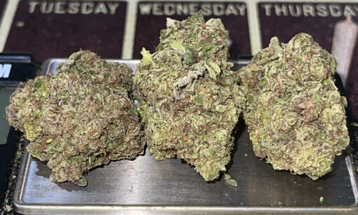 GEORGIA PIE 28g OZ ON SALE 26%THC HYBRID
