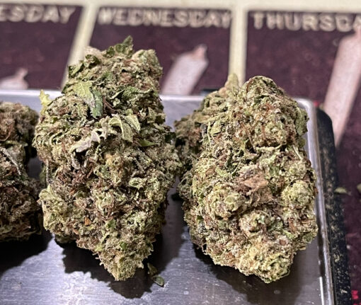 GEORGIA PIE 28g OZ ON SALE 26%THC HYBRID