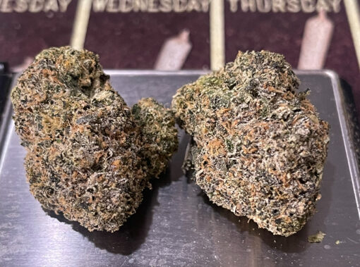 ZAHITI 🎒 🏝️🏝️ 28grams Oz EXOTICS 36%THC  (backpackboys) 🔥🔥 🎒