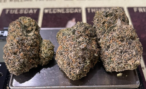 ZAHITI 🎒 🏝️🏝️ 28grams Oz EXOTICS 36%THC  (backpackboys) 🔥🔥 🎒