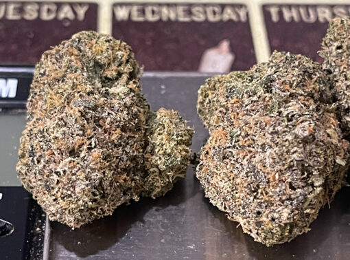 ZAHITI 🎒 🏝️🏝️ 28grams Oz EXOTICS 36%THC  (backpackboys) 🔥🔥 🎒