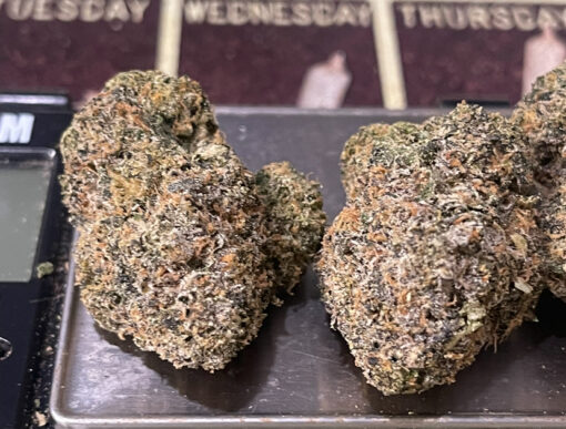 ZAHITI 🎒 🏝️🏝️ 28grams Oz EXOTICS 36%THC  (backpackboys) 🔥🔥 🎒