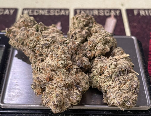 GREAT WHITE SHARK 3.5grams SATIVA 30%THC 🔥🔥