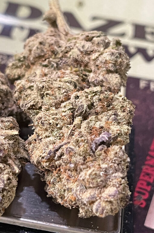 GREAT WHITE SHARK 3.5grams SATIVA 30%THC 🔥🔥