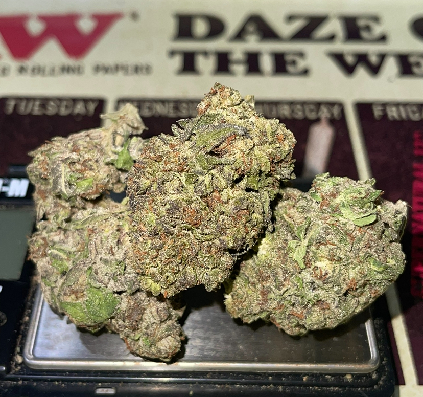 C-99 SATIVA CINDERELLA 28grams OZ ON SALE 28THC π₯π₯ C-99 SATIVA CINDERELLA 28grams OZ ON SALE 28THC π₯π₯