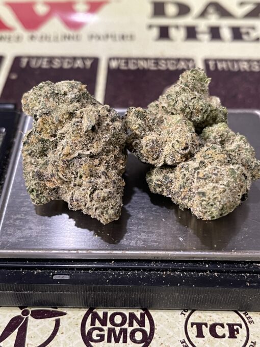 GEMINI 28grams OZ EXOTICS 🏆🔥INDICA 36%THC (Alien Labs) 🏆