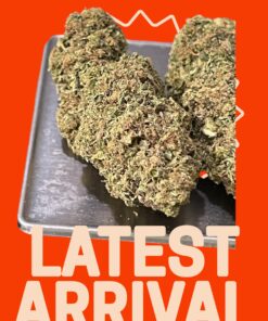 GORILLA CAKE 🦍 28grams HYBRD OZ ON SALE 28%THC