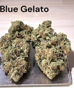 BLUE GELATO41 oz 28GRaMS ON SALE 26%THC HYBRID🔥🔥