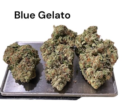 BLUE GELATO41 oz 28GRaMS ON SALE 26%THC HYBRID🔥🔥