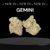 GEMINI 28grams OZ EXOTICS 🏆🔥INDICA 36%THC (Alien Labs) 🏆