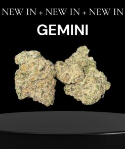 GEMINI 28grams OZ EXOTICS 🏆🔥INDICA 36%THC (Alien Labs) 🏆