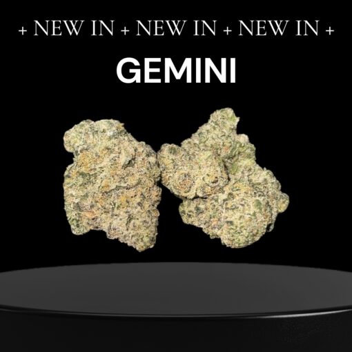 GEMINI 28grams OZ EXOTICS 🏆🔥INDICA 36%THC (Alien Labs) 🏆
