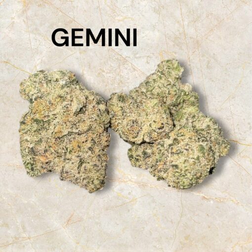 GEMINI 28grams OZ EXOTICS 🏆🔥INDICA 36%THC (Alien Labs) 🏆
