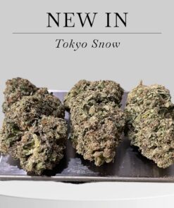 Tokyo Snow28g OZ ON SALE SATIVA 29%THC 🔥🔥