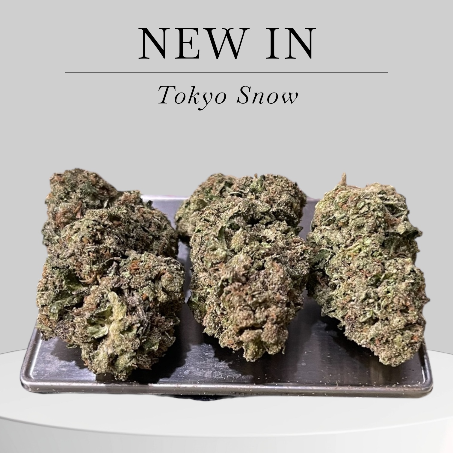 Tokyo Snow28g OZ ON SALE SATIVA 29%THC π₯π₯ Tokyo Snow28g OZ ON SALE SATIVA 29%THC π₯π₯