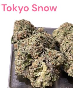 Tokyo Snow28g OZ ON SALE SATIVA 29%THC 🔥🔥