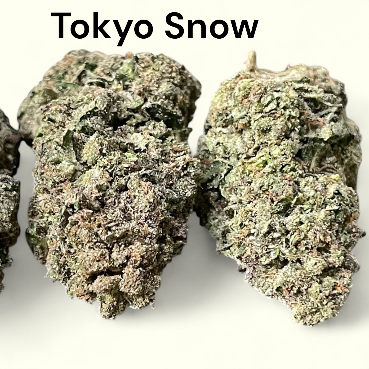 Tokyo Snow28g OZ ON SALE SATIVA 29%THC π₯π₯ Tokyo Snow28g OZ ON SALE SATIVA 29%THC π₯π₯