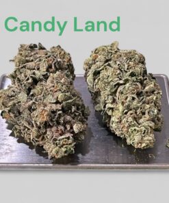 CANDY LAND 28grams OZ ON SALE SATIVA 26%THC