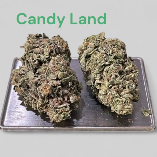 CANDY LAND 28grams OZ ON SALE SATIVA 26%THC