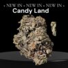 CANDY LAND 28grams OZ ON SALE SATIVA 26%THC
