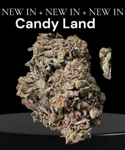 CANDY LAND 28grams OZ ON SALE SATIVA 26%THC