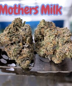 MOTHERS MILK 28grams OZ ON SALE 🏆 36%THC SATIVA EXOTICS SMALL BATCH 🔥🔥
