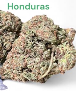HONDURAS 28grams OZ 26%THC SATIVA 🔥🔥