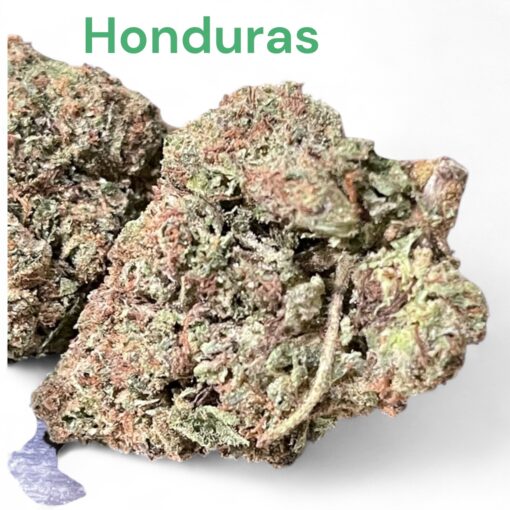HONDURAS 28grams OZ 26%THC SATIVA 🔥🔥