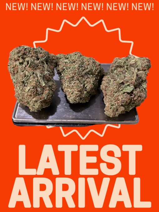 HONDURAS 28grams OZ 26%THC SATIVA 🔥🔥